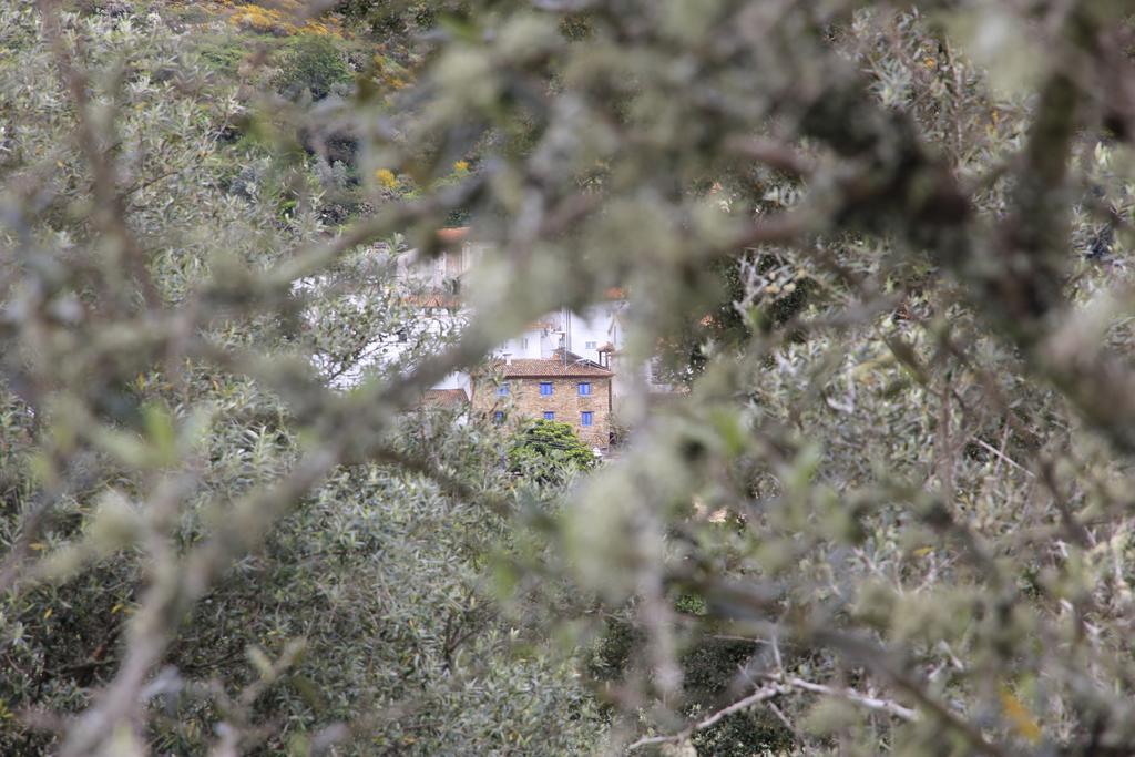 Campus Natura Arganil Exterior photo